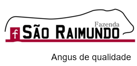 sao raimundo